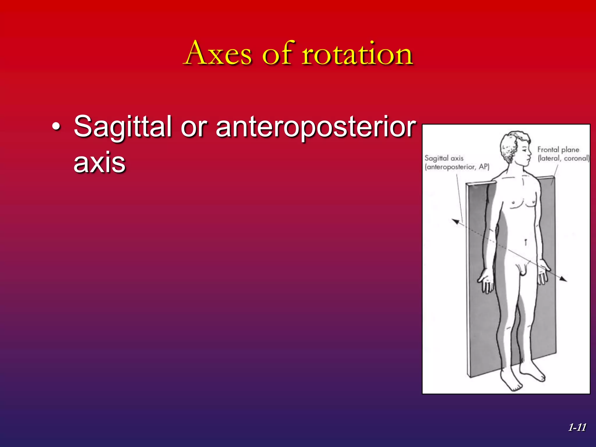 1-11
Axes of rotation
• Sagittal or anteroposterior
axis
 