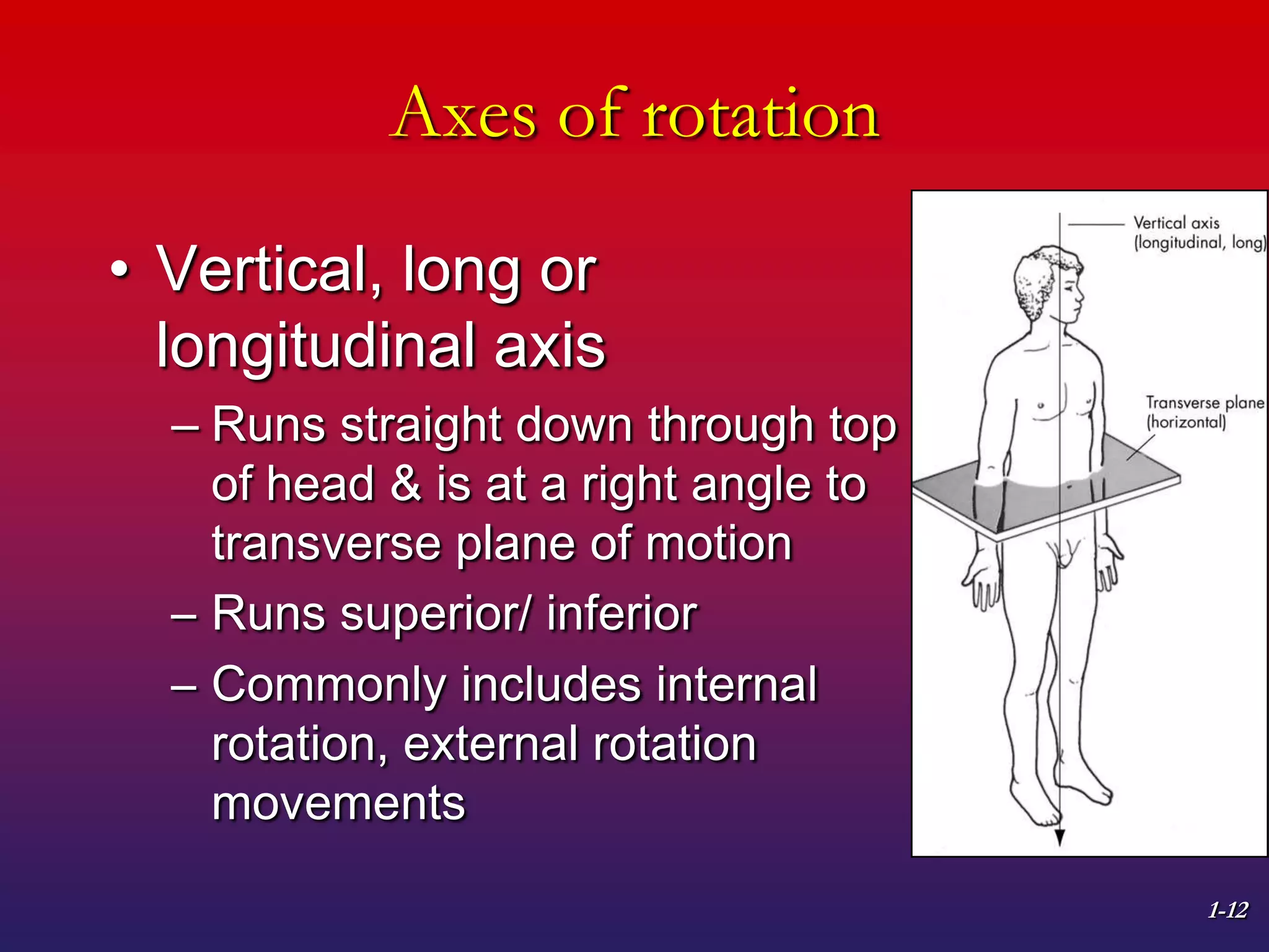 1-12
Axes of rotation
• Vertical, long or
longitudinal axis
– Runs straight down through top
of head & is at a right angle to
transverse plane of motion
– Runs superior/ inferior
– Commonly includes internal
rotation, external rotation
movements
 