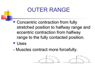 OUTER RANGE
 Concentric contraction from fully
stretched position to halfway range and
eccentric contraction from halfway
range to the fully contacted position.
 Uses
- Muscles contract more forcefully.
 