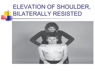 ELEVATION OF SHOULDER,
BILATERALLY RESISTED
 