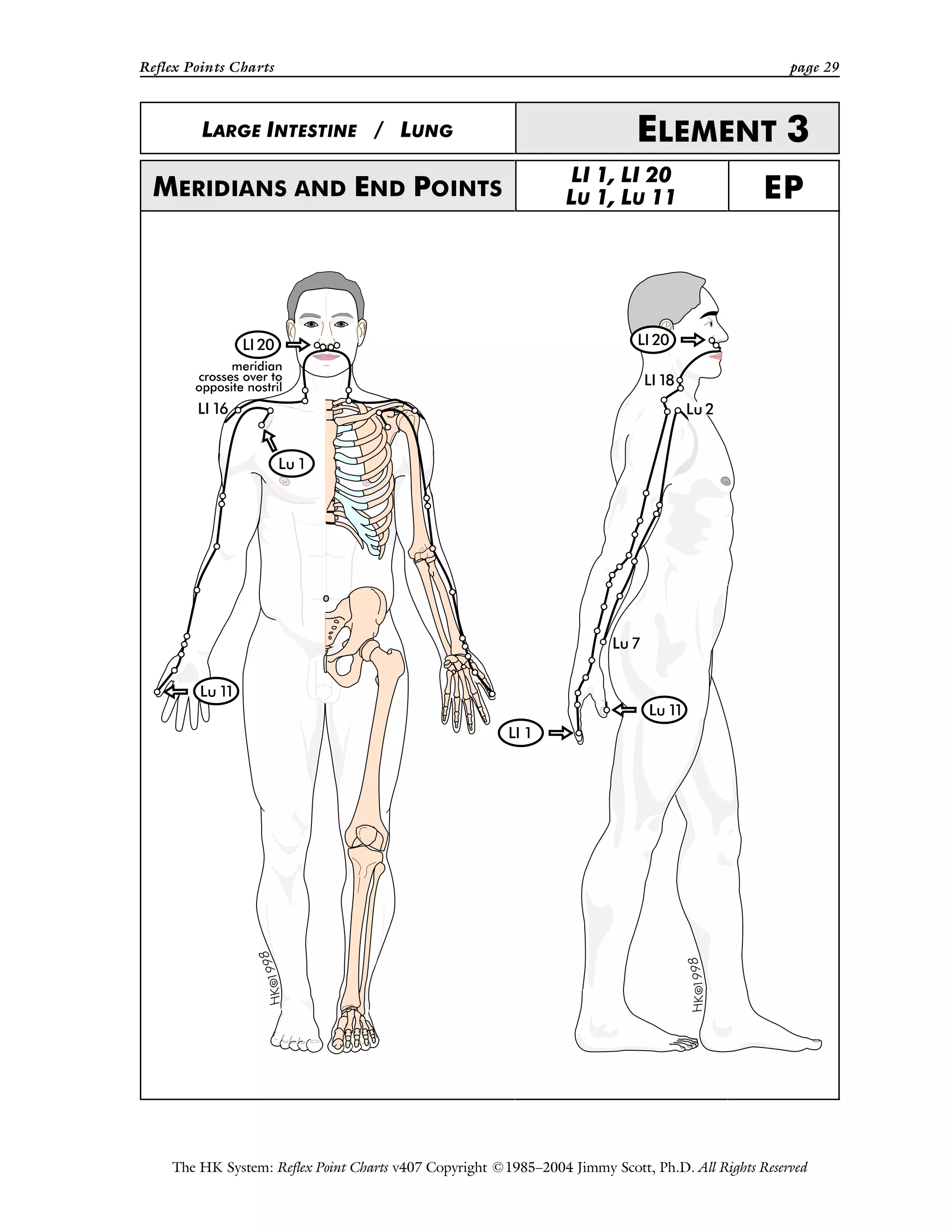 Reflex Points Charts page 29
The HK System: Reflex Point Charts v407 Copyright ©1985–2004 Jimmy Scott, Ph.D. All Rights Reserved
LARGE INTESTINE / LUNG ELEMENT 3
MERIDIANS AND END POINTS
LI 1, LI 20
LU 1, LU 11 EP
 