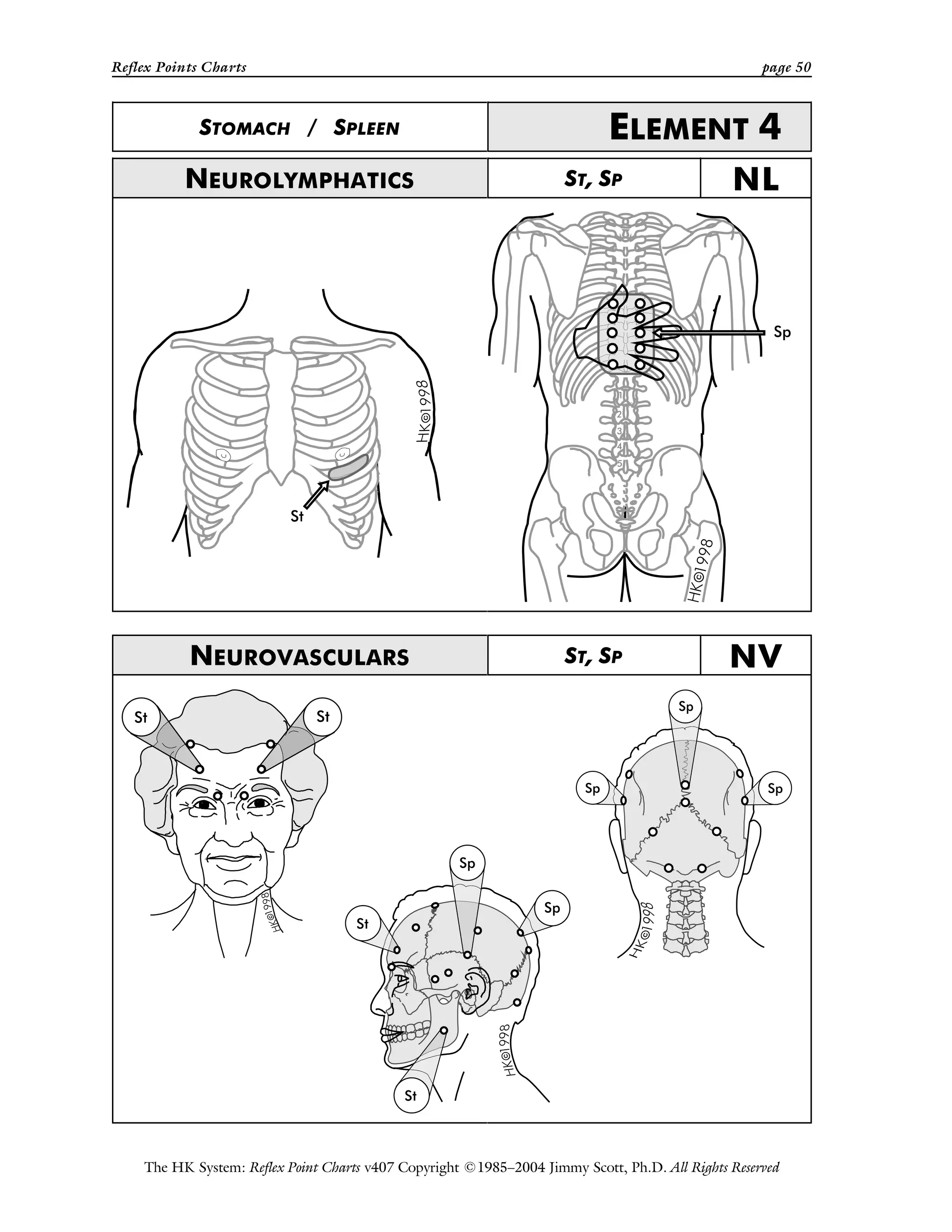 Reflex Points Charts page 50
The HK System: Reflex Point Charts v407 Copyright ©1985–2004 Jimmy Scott, Ph.D. All Rights Reserved
STOMACH / SPLEEN ELEMENT 4
NEUROLYMPHATICS ST, SP NL
NEUROVASCULARS ST, SP NV
 