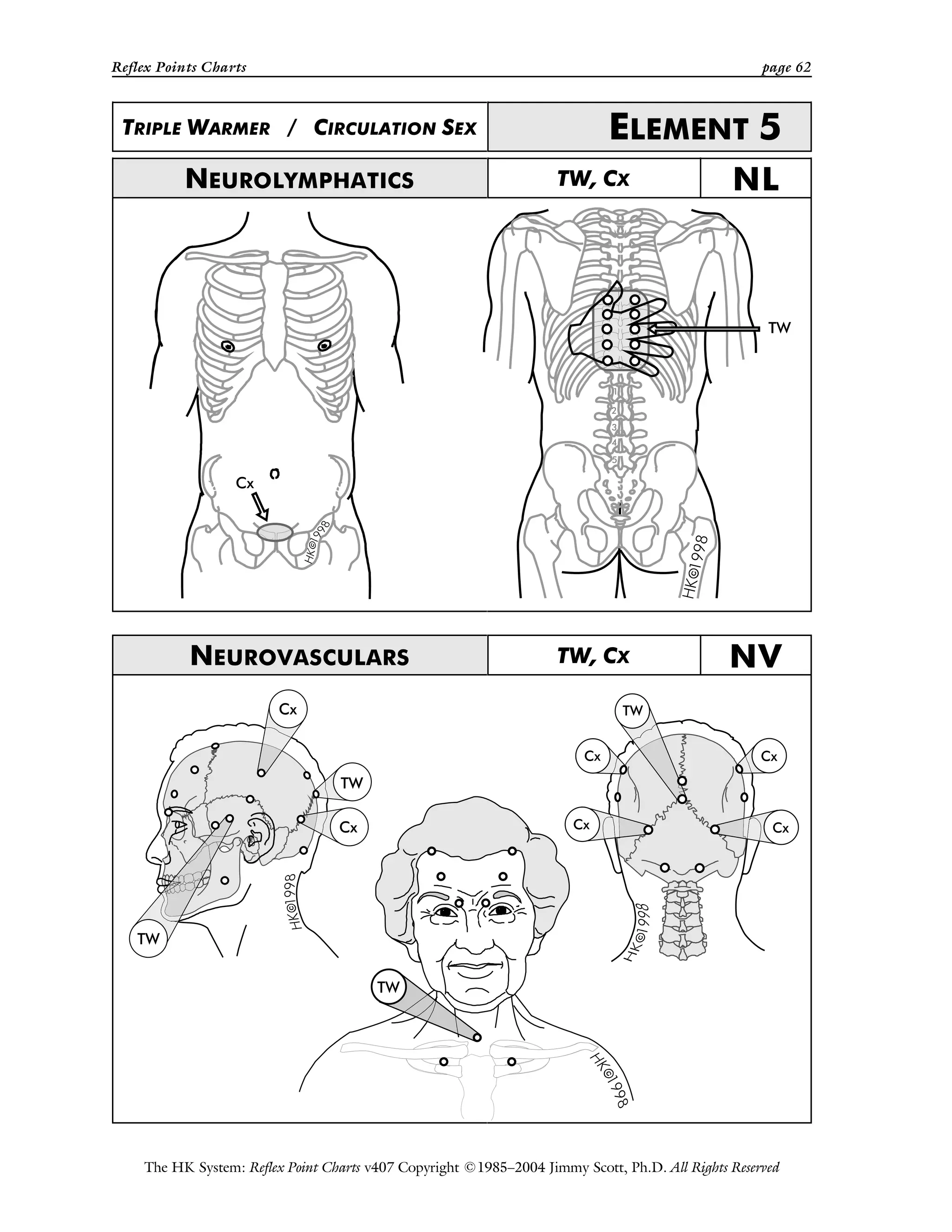 Reflex Points Charts page 62
The HK System: Reflex Point Charts v407 Copyright ©1985–2004 Jimmy Scott, Ph.D. All Rights Reserved
TRIPLE WARMER / CIRCULATION SEX ELEMENT 5
NEUROLYMPHATICS TW, CX NL
NEUROVASCULARS TW, CX NV
 
