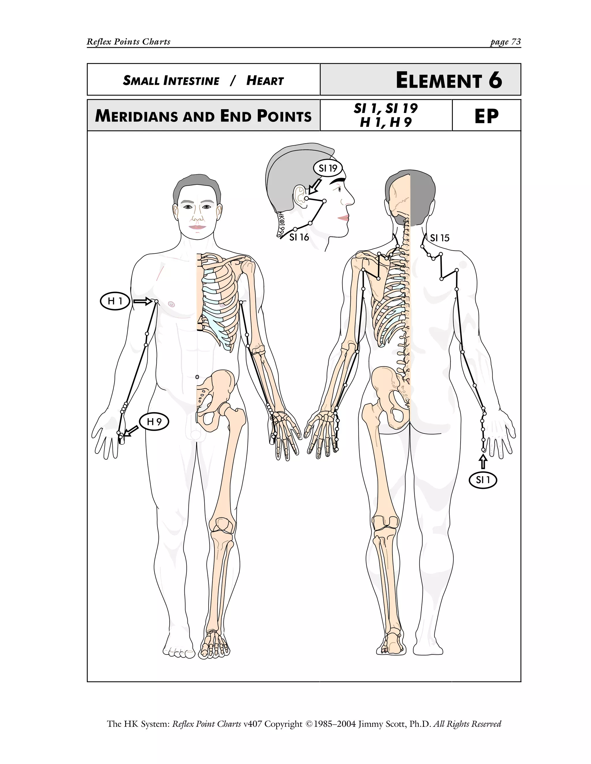 Reflex Points Charts page 73
The HK System: Reflex Point Charts v407 Copyright ©1985–2004 Jimmy Scott, Ph.D. All Rights Reserved
SMALL INTESTINE / HEART ELEMENT 6
MERIDIANS AND END POINTS
SI 1, SI 19
H 1, H 9 EP
 