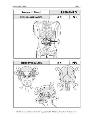Reflex Points Charts page 27
The HK System: Reflex Point Charts v407 Copyright ©1985–2004 Jimmy Scott, Ph.D. All Rights Reserved
BLADDER / KIDNEY ELEMENT 2
NEUROLYMPHATICS B, K NL
NEUROVASCULARS B, K NV
 