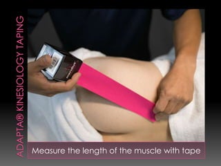 Measure the length of the muscle with tape
 