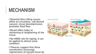 MECHANISM
Potential Skin Lifting causes
effect on circulation, sub dermal
vacuum, tissue decompression,
promotes fluid flow.
Recoil effect helps to
shortening or lengthening of the
tissue.
No HARD rule for taping, it can
be applied to almost every
condition.
Theories suggest that these
convolutions encourage
regeneration of injured tissue by
 