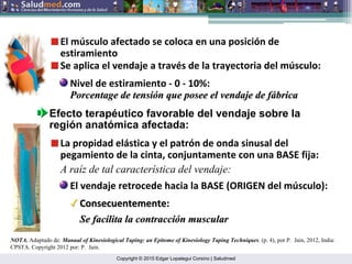 Copyright © 2015 Edgar Lopategui Corsino | Saludmed
NOTA. Adaptado de: Manual of Kinesiological Taping: an Epitome of Kinesiology Taping Techniques. (p. 4), por P. Jain, 2012, India:
CPSTA. Copyright 2012 por: P. Jain.
El músculo afectado se coloca en una posición de
estiramiento
Se aplica el vendaje a través de la trayectoria del músculo:
Nivel de estiramiento ‐ 0 ‐ 10%:
Porcentage
Porcentage de tensi
de tensió
ón que posee el vendaje de f
n que posee el vendaje de fá
ábrica
brica
Efecto terapéutico favorable del vendaje sobre la
región anatómica afectada:
A raíz de tal característica del vendaje:
La propidad elástica y el patrón de onda sinusal del
pegamiento de la cinta, conjuntamente con una BASE fija:
El vendaje retrocede hacia la BASE (ORIGEN del músculo):
Consecuentemente:
Consecuentemente:
Se facilita la contracci
Se facilita la contracció
ón muscular
n muscular
 