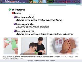 Copyright © 2015 Edgar Lopategui Corsino | Saludmed
NOTA. Adaptado de: Manual of Kinesiological Taping: an Epitome of Kinesiology Taping Techniques. (p. 5), por P. Jain, 2012, India:
CPSTA. Copyright 2012 por: P. Jain.
Estructura:
Capas:
Fascia superficial:
Aquella
Aquella fascia
fascia que se localiza debajo de la piel
que se localiza debajo de la piel
Fascia profunda:
La
La fascia
fascia que rodea los m
que rodea los mú
úsculos
sculos
Fascia sub‐serosa:
Aquella
Aquella fascia
fascia que soporta los
que soporta los ó
órganos
rganos intenos
intenos del cuerpo
del cuerpo
 