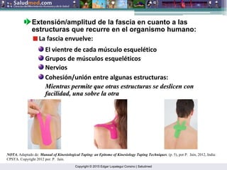 Copyright © 2015 Edgar Lopategui Corsino | Saludmed
NOTA. Adaptado de: Manual of Kinesiological Taping: an Epitome of Kinesiology Taping Techniques. (p. 5), por P. Jain, 2012, India:
CPSTA. Copyright 2012 por: P. Jain.
Extensión/amplitud de la fascia en cuanto a las
estructuras que recurre en el organismo humano:
La fascia envuelve:
El vientre de cada músculo esquelético
Grupos de músculos esqueléticos
Nervios
Cohesión/unión entre algunas estructuras:
Mientras permite que otras estructuras se deslicen con
Mientras permite que otras estructuras se deslicen con
facilidad, una sobre la otra
facilidad, una sobre la otra
 