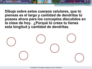 Copyright © 2015 Edgar Lopategui Corsino | Saludmed
Dibuje sobre estos cuerpos celulares, que tú
piensas es el largo y cantidad de dendritas tú
posees ahora para los conceptos discutidos en
la clase de hoy. ¿Porqué tú crees tu tienes
esta longitud y cantidad de dendritas.
 
