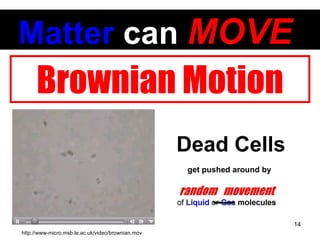 Dead Cells Brownian Motion Matter  can   MOVE   http://www-micro.msb.le.ac.uk/video/brownian.mov get pushed around by 