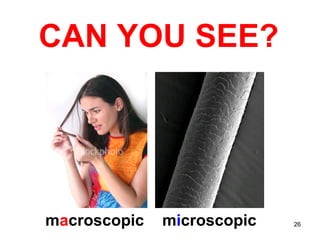 CAN YOU SEE? m a croscopic m i croscopic 