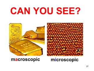 CAN YOU SEE? m a croscopic m i croscopic 