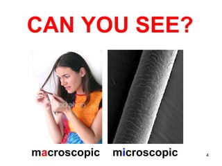 CAN YOU SEE? m a croscopic m i croscopic 