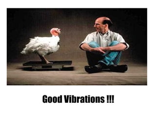 Good Vibrations !!! 