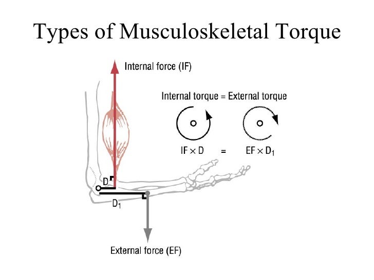 Torque Joke 기능해부학 #03 운동학의 주요 주제들(4) - 운동역학 : 네이버 블로그
