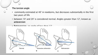 Kinetics and kimematics of the hip | PPTX