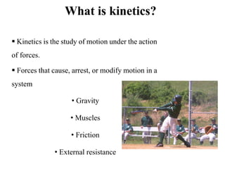 Kinetics and kinematics Slide 8