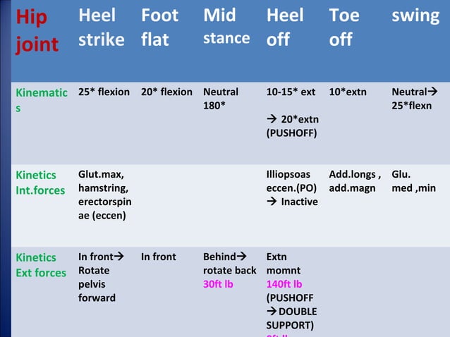 Kinetics and kinematics of gait | PPT | Physics | Science