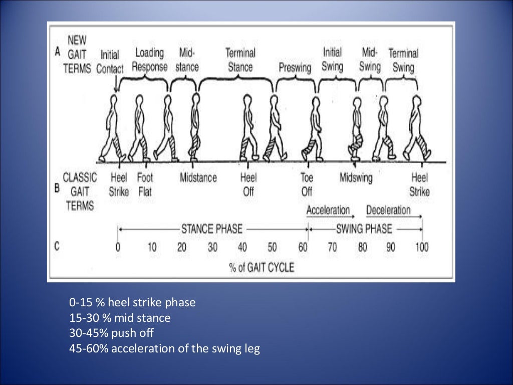 and kinematics of gait