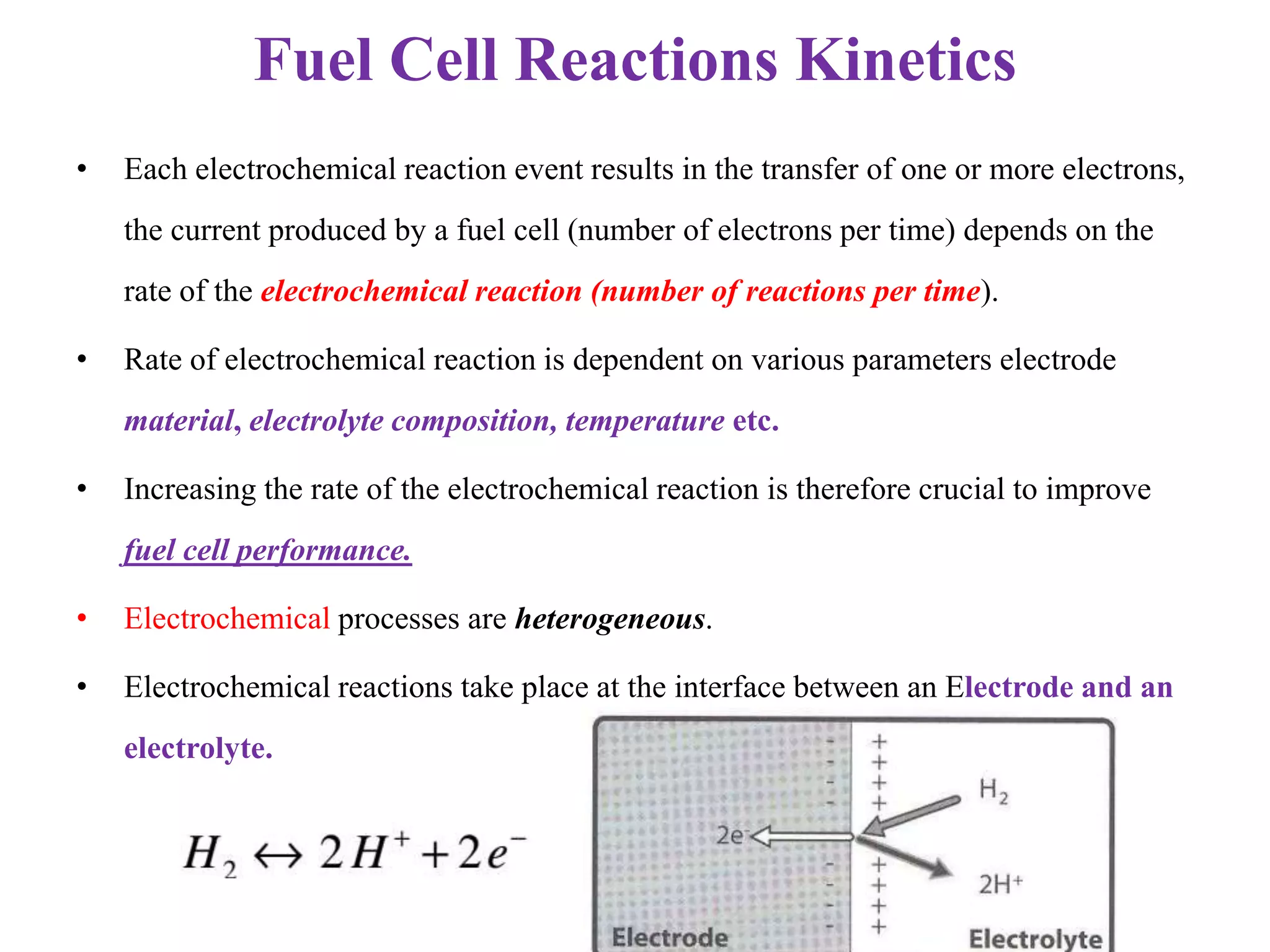 of electrochemical reaction PPT