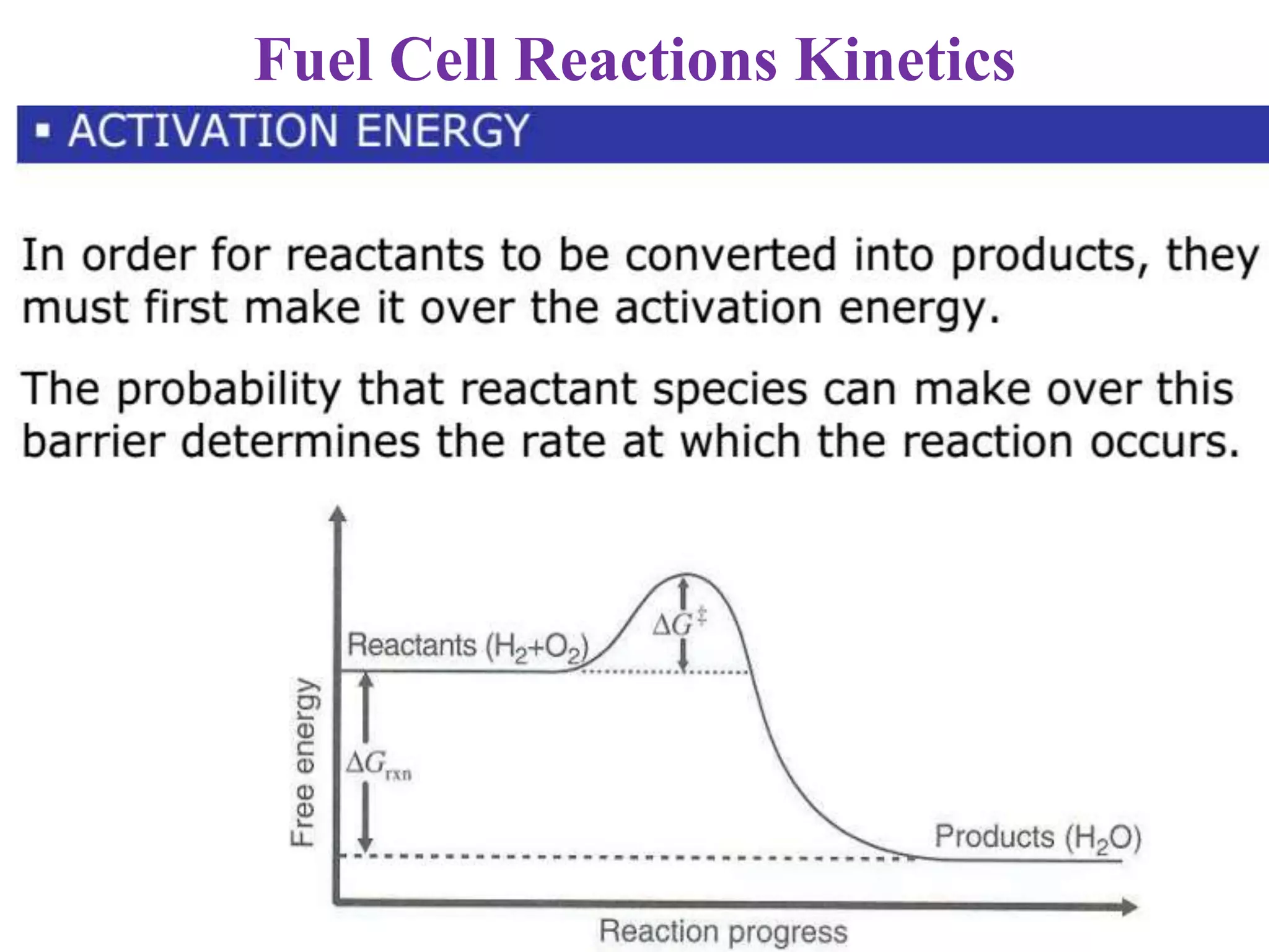 of electrochemical reaction PPT