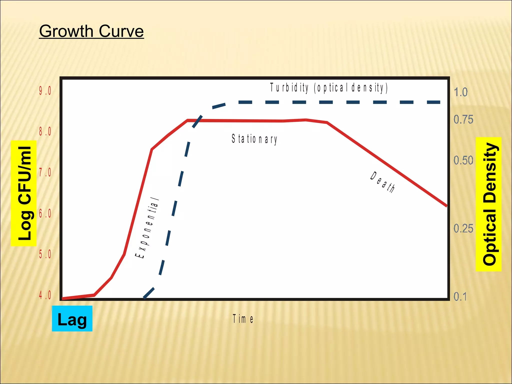 Growth Curve

S t a t io n a r y

7 .0

De

Expo
nent
ia l

10

Log CFU/ml
L o g C F U /m l

8 .0

6 .0
5 .0
4 .0
Lag
Lag

T im e

a th

O p tic l d e n s it y
Opticala Density

T u r b i d i t y ( o p t i c a l d e n s it y )

9 .0

 