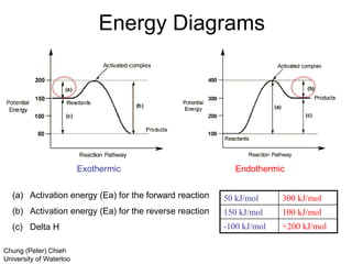 Energy Diagrams
Exothermic Endothermic
(a) Activation energy (Ea) for the forward reaction
(b) Activation energy (Ea) for the reverse reaction
(c) Delta H
50 kJ/mol 300 kJ/mol
150 kJ/mol 100 kJ/mol
-100 kJ/mol +200 kJ/mol
Chung (Peter) Chieh
University of Waterloo
 