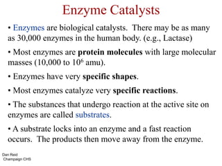 Enzyme Catalysts
• Enzymes are biological catalysts. There may be as many
as 30,000 enzymes in the human body. (e.g., Lactase)
• Most enzymes are protein molecules with large molecular
masses (10,000 to 106 amu).
• Enzymes have very specific shapes.
• Most enzymes catalyze very specific reactions.
• The substances that undergo reaction at the active site on
enzymes are called substrates.
• A substrate locks into an enzyme and a fast reaction
occurs. The products then move away from the enzyme.
Dan Reid
Champaign CHS
 