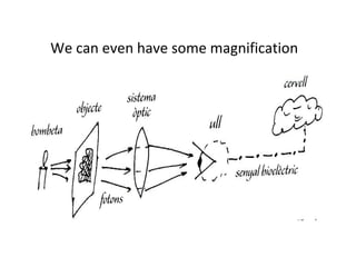 We can even have some magnification 