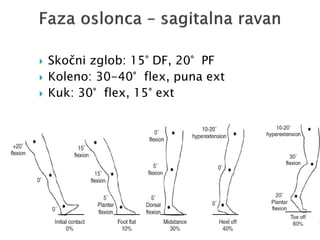  Skočni zglob: 15° DF, 20° PF
 Koleno: 30-40° flex, puna ext
 Kuk: 30° flex, 15° ext
 