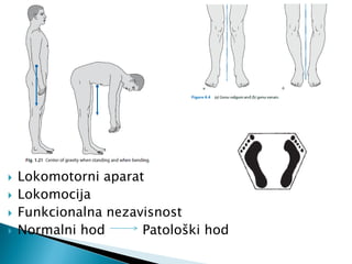  Lokomotorni aparat
 Lokomocija
 Funkcionalna nezavisnost
 Normalni hod Patološki hod
 