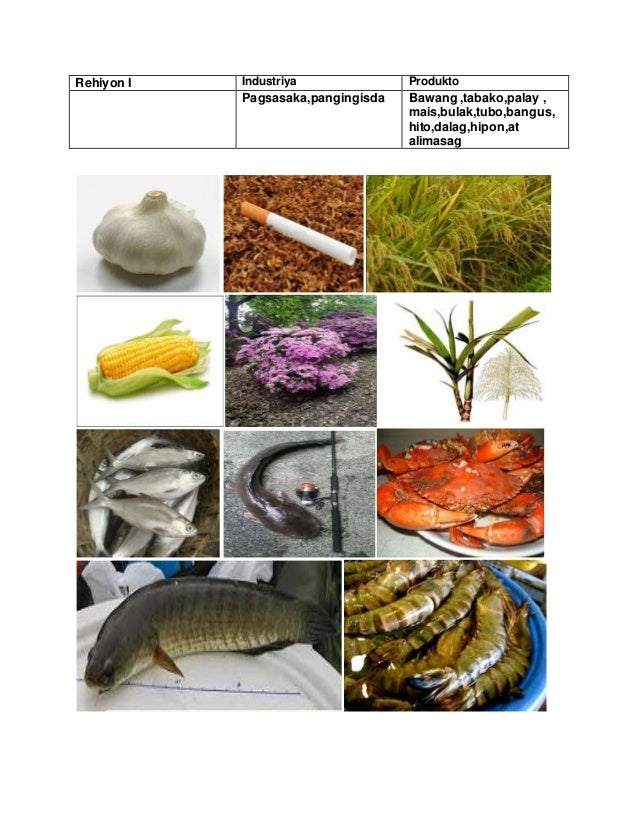 industriya ng pilipinas Uri ng pagkaing pinoy ang pagkain ay isang napakalaking bahagi ng kultura ng ating bayan sa pilipinas, ang pagkain ay ipinapakita ang pagkatao ng mga pilipino mayroon mararaming uri ng pagkain sa pilipinas galing sa simpleng kwek kwek hanggang barbecue hanggang napakatamis na leche flan. industriya ng pilipinas Uri ng pagkaing pinoy ang pagkain ay isang napakalaking bahagi ng kultura ng ating bayan sa pilipinas, ang pagkain ay ipinapakita ang pagkatao ng mga pilipino mayroon mararaming uri ng pagkain sa pilipinas galing sa simpleng kwek kwek hanggang barbecue hanggang napakatamis na leche flan.