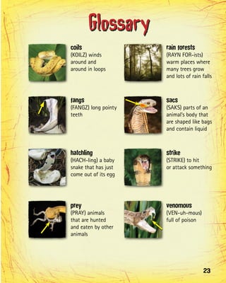 Glossary
coils                 rain forests
(KOILZ) winds         (RAYN FOR‑ists)
around and            warm places where
around in loops       many trees grow
                      and lots of rain falls



fangs                 sacs
(FANGZ) long pointy   (SAKS) parts of an
teeth                 animal’s body that
                      are shaped like bags
                      and contain liquid



hatchling             strike
(HACH‑ling) a baby    (STRIKE) to hit
snake that has just   or attack something
come out of its egg




prey                  venomous
(PRAY) animals        (VEN‑uh‑mous)
that are hunted       full of poison
and eaten by other
animals




                                       23
 