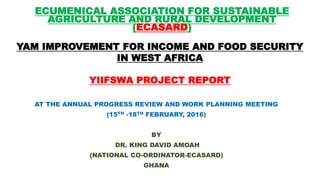 YAM IMPROVEMENT FOR INCOME AND FOOD SECURITY
IN WEST AFRICA
YIIFSWA PROJECT REPORT
AT THE ANNUAL PROGRESS REVIEW AND WORK PLANNING MEETING
(15TH -18TH FEBRUARY, 2016)
BY
DR. KING DAVID AMOAH
(NATIONAL CO-ORDINATOR-ECASARD)
GHANA
ECUMENICAL ASSOCIATION FOR SUSTAINABLE
AGRICULTURE AND RURAL DEVELOPMENT
(ECASARD)
 