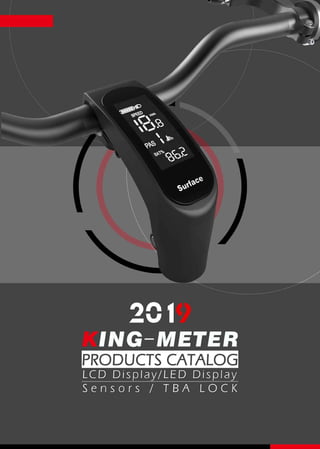 King-Meter 2019 Catalog for your eBikes.