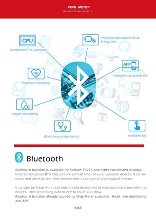 King-Meter 2019 Catalog for your eBikes.