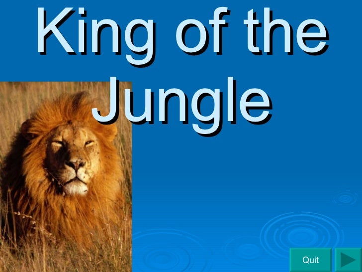 King Of The Jungle