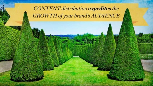 Content is King, but Distribution is Queen and She Wears the Pants Slide 19