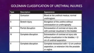 Urinary system – common pathological correlation | PPTX