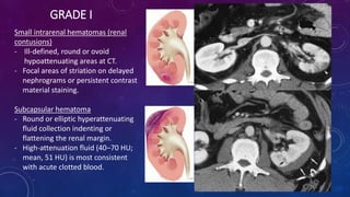 Urinary system – common pathological correlation | PPTX