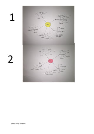 Diara Daisy Vassallo
1
2
 