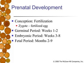 Prenatal Development Conception: Fertilization Zygote – fertilized egg Germinal Period: Weeks 1-2 Embryonic Period: Weeks 3-8 Fetal Period: Months 2-9 