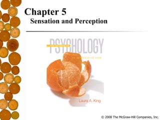 Chapter 5 Sensation and Perception 