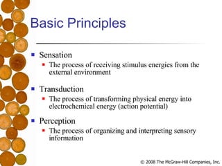 Basic Principles Sensation The process of receiving stimulus energies from the external environment Transduction The process of transforming physical energy into electrochemical energy (action potential) Perception The process of organizing and interpreting sensory information 