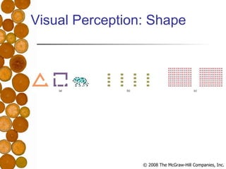 Visual Perception: Shape 