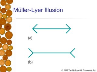 Müller-Lyer Illusion 
