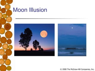 Moon Illusion 