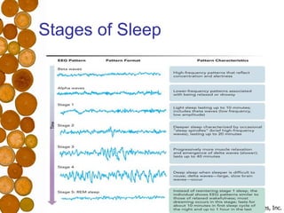 Stages of Sleep 